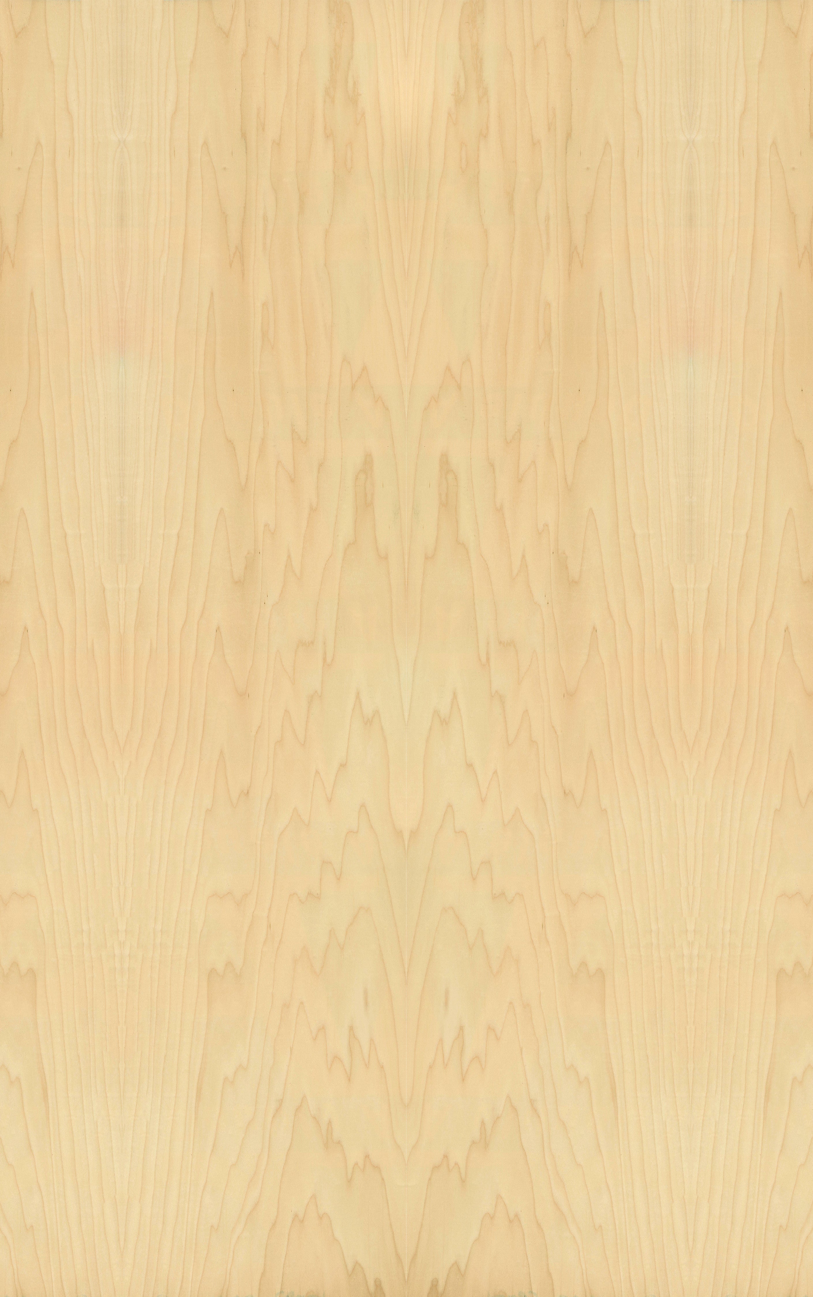 Rock Maple Veneer Crown Cut on Pre-Glued Leaf – Bord Products