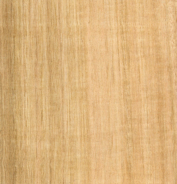 Tasmanian Oak Veneer Quarter Cut Sample