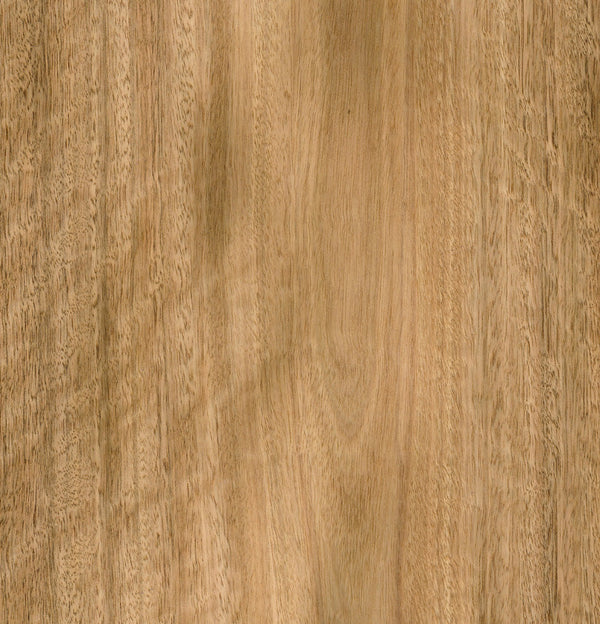 Spotted Gum Veneer Crown Cut on Black Moisture Resistant MDF