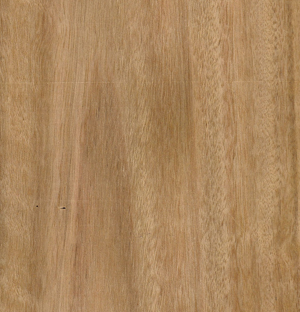 Blackbutt Veneer Crown Cut on Plywood